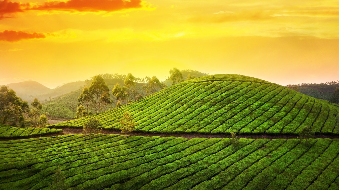 Kerala 6 Nights & 7 Days