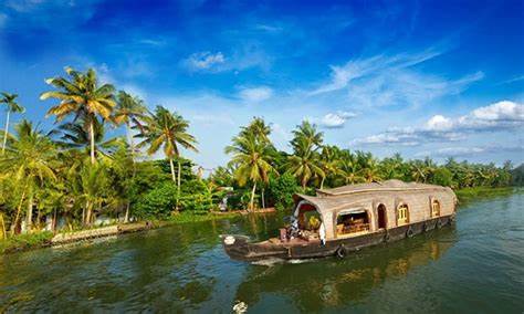 Kerala Honeymoon - Tree House Package 4 Nights & 5 Days