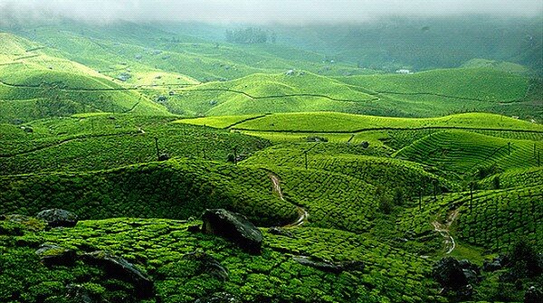 Kerala - 4 Nights & 5 Days 